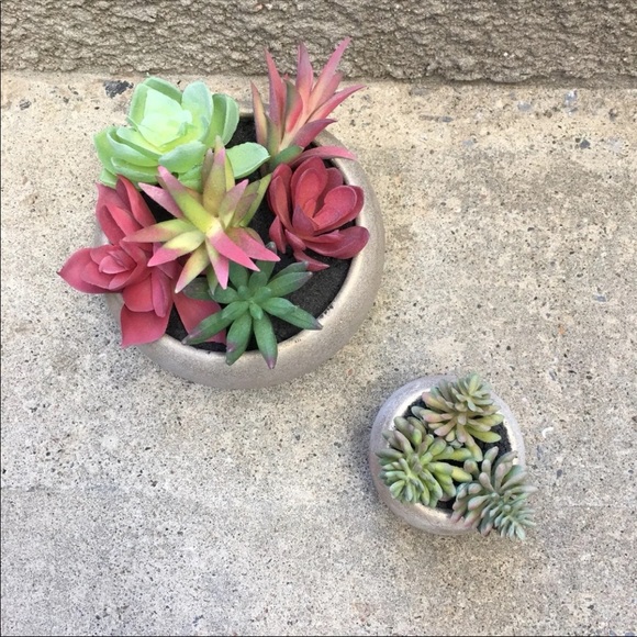 🏠 Artificial Succulent Plants - Picture 2 of 5